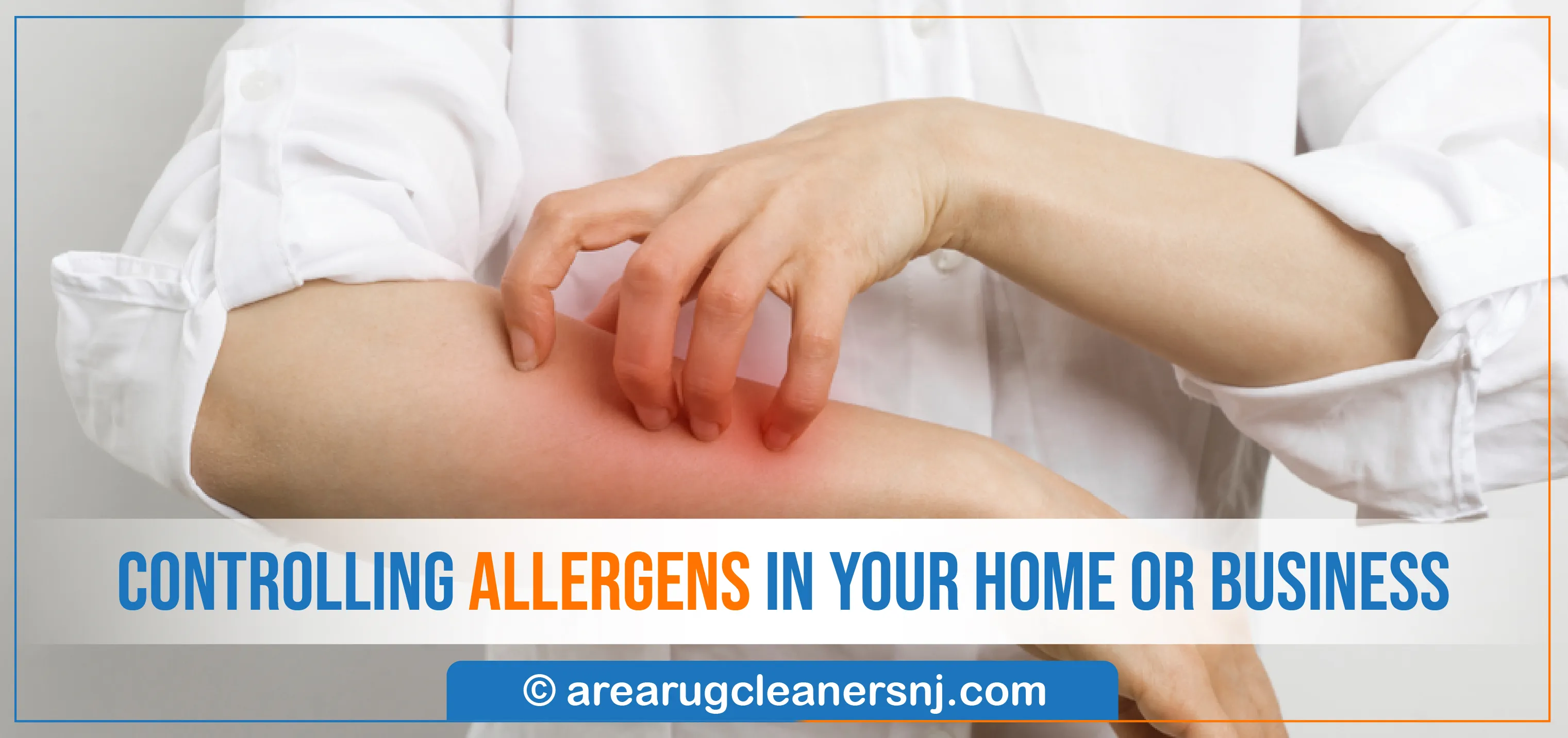 carpet cleaning in new jersey, carpet cleaning in new york, carpet cleaning new jersey, carpet cleaners in new jersey, carpet cleaners in new york, commercial carpet cleaning, commercial carpet cleaning in new jersey, new jersey rug cleaners, rug cleaning services in new jersey, same day carpet cleaning, same day rug cleaning