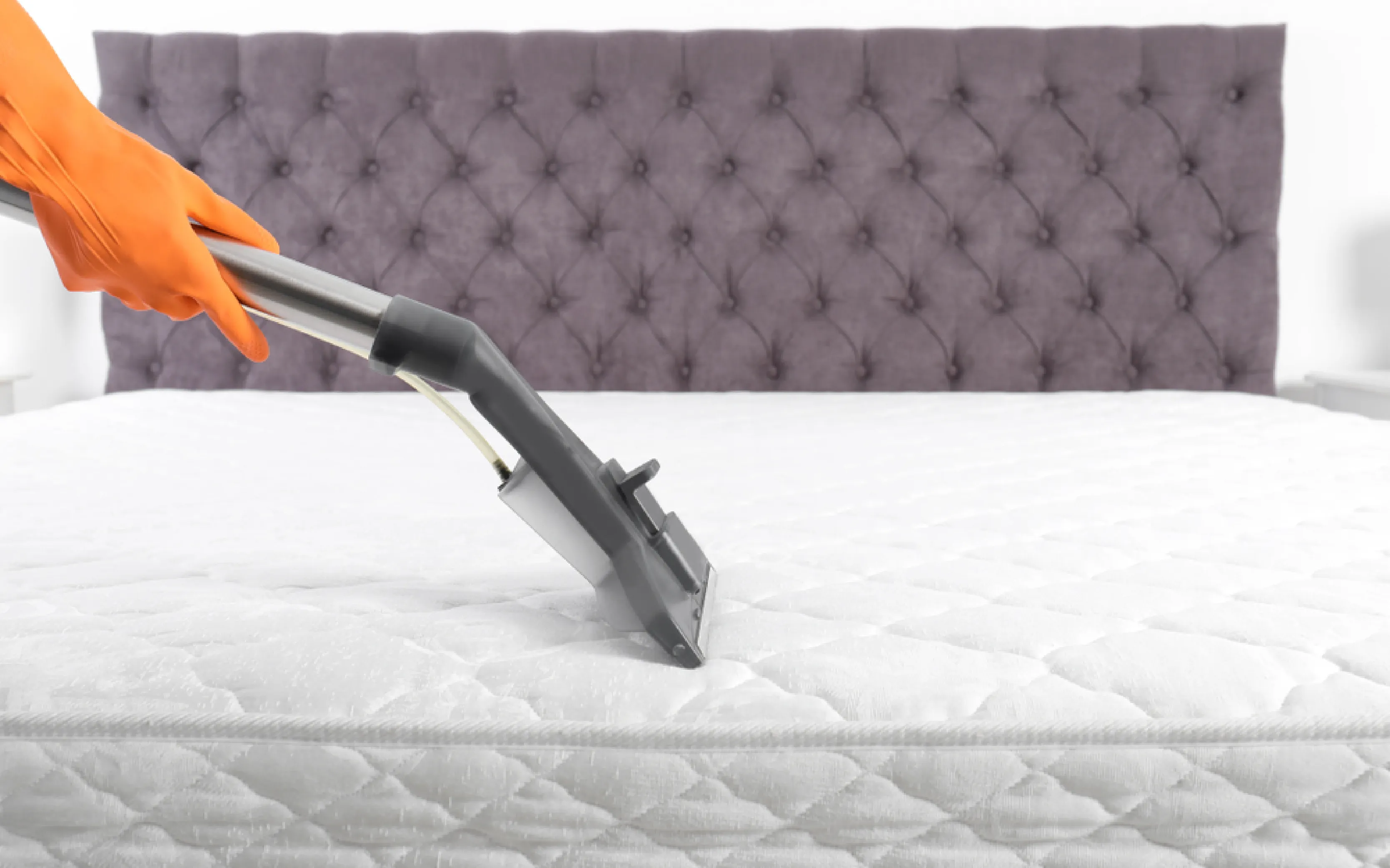 carpet cleaning in new jersey, carpet cleaning in new york, carpet cleaning new jersey, carpet cleaners in new jersey, carpet cleaners in new york, commercial carpet cleaning, commercial carpet cleaning in new jersey, new jersey rug cleaners, rug cleaning services in new jersey, same day carpet cleaning, same day rug cleaning