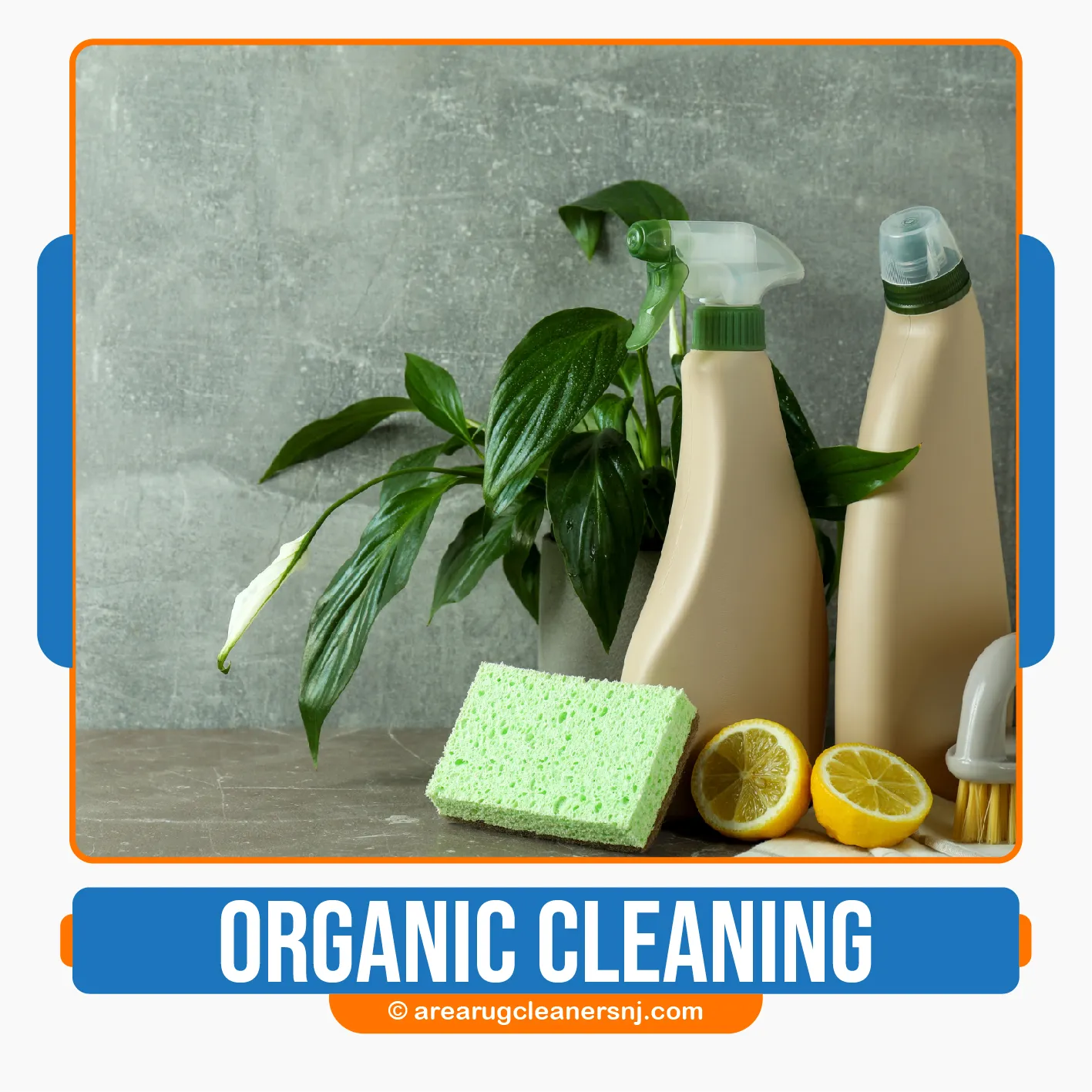 carpet cleaning in new jersey, carpet cleaning in NJ, carpet cleaning new jersey, carpet cleaners in new jersey, carpet cleaners in NJ, commercial carpet cleaning, commercial carpet cleaning in new jersey, new jersey rug cleaners, rug cleaning services in new jersey, same day carpet cleaning, same day rug cleaning